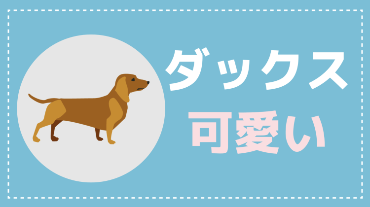 カワイイがいっぱい！ワンダーランド